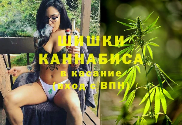 ГАЛЛЮЦИНОГЕННЫЕ ГРИБЫ Нефтекумск