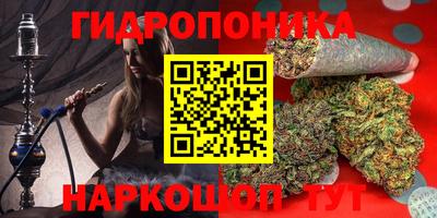 jwh Краснознаменск