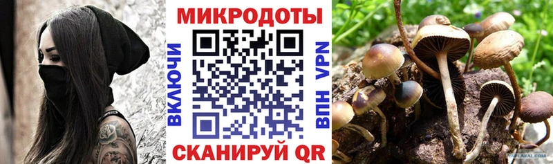 Галлюциногенные грибы Psilocybine cubensis  Купить где  Стрежевой 