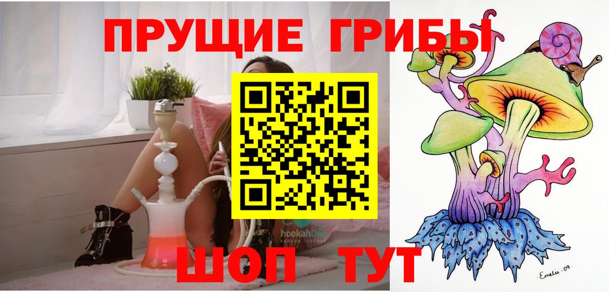 Стрежевой  Галлюциногенные грибы Psilocybine cubensis  закладка  Вход с VPN 