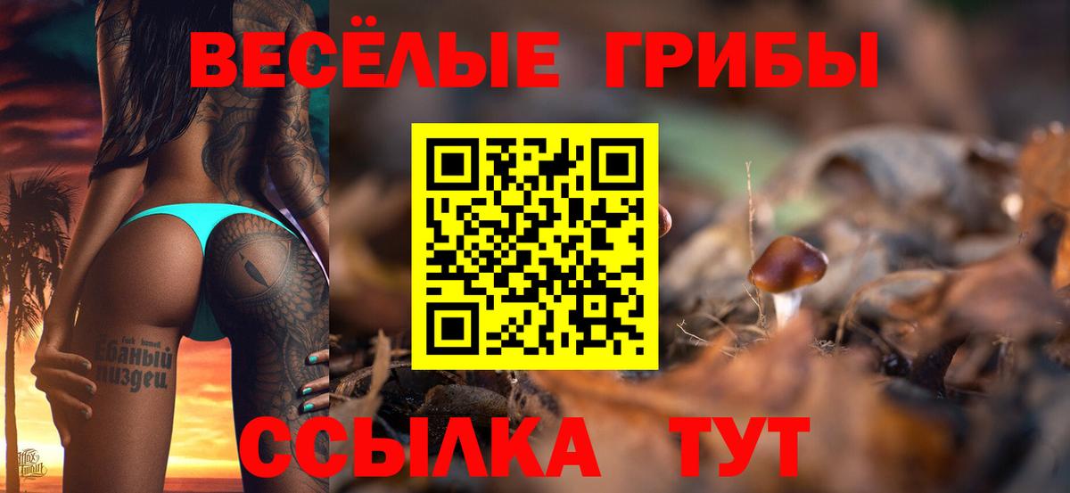 Псилоцибиновые грибы мицелий Стрежевой